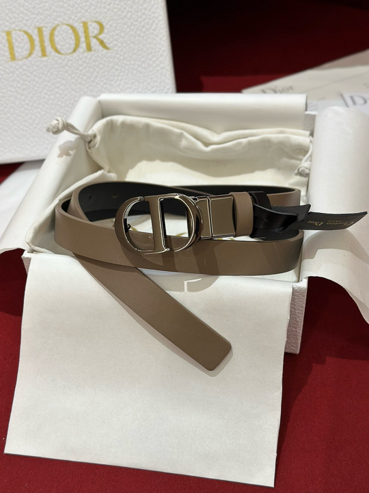 디올 벨트