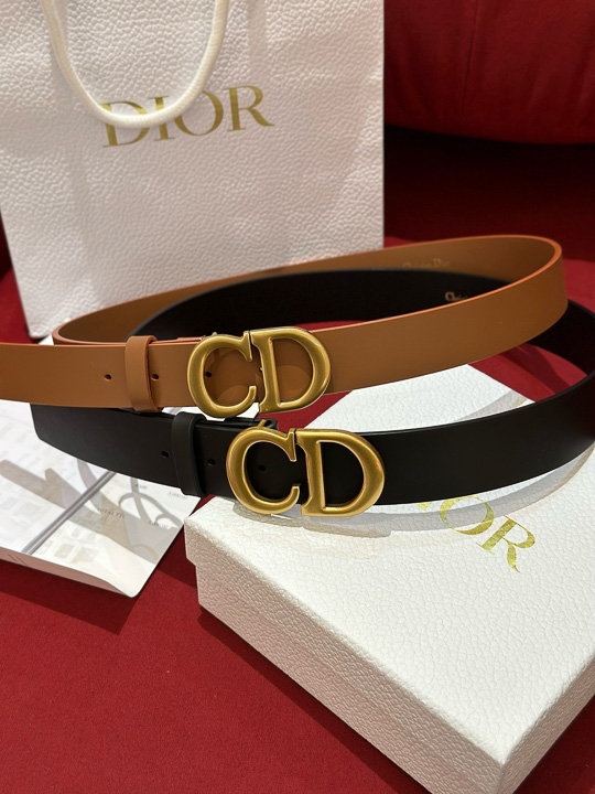 디올 벨트