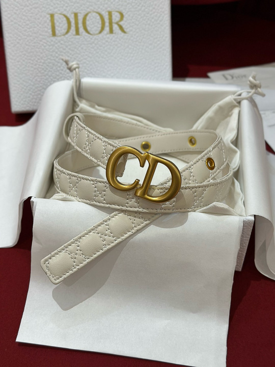 디올 벨트