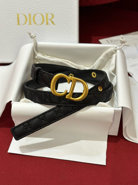 디올 벨트