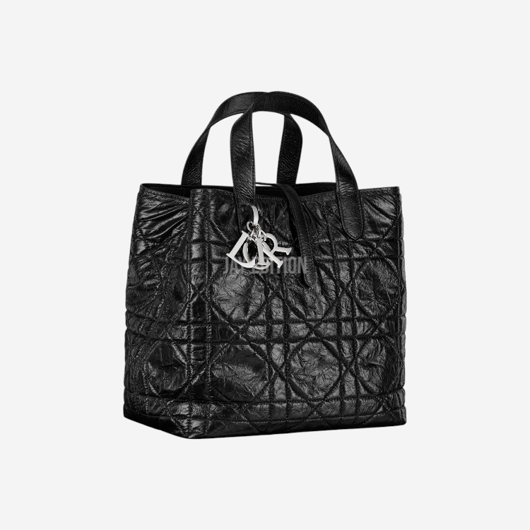 디올 버티컬 뚜주흐백 미디움 (매크로 까나쥬)