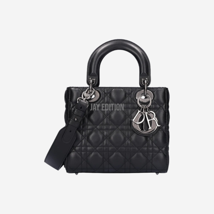 디올 레이디백 스몰 은장