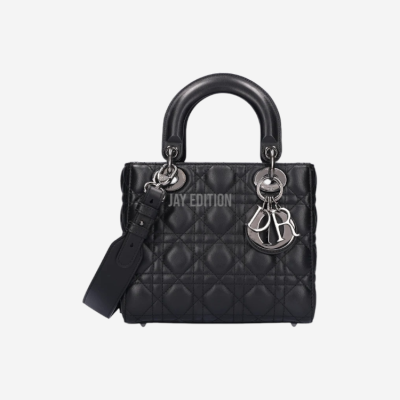 디올 레이디백 스몰 은장