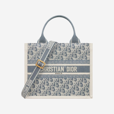 디올 샴브레이 이펙트 북백 뉴스몰