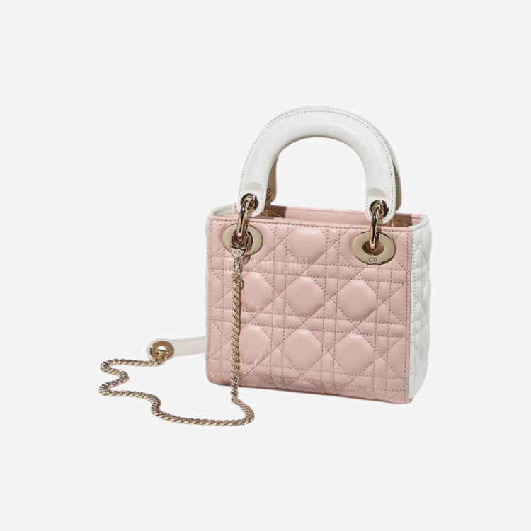 디올 레이디백 미니 (투톤)