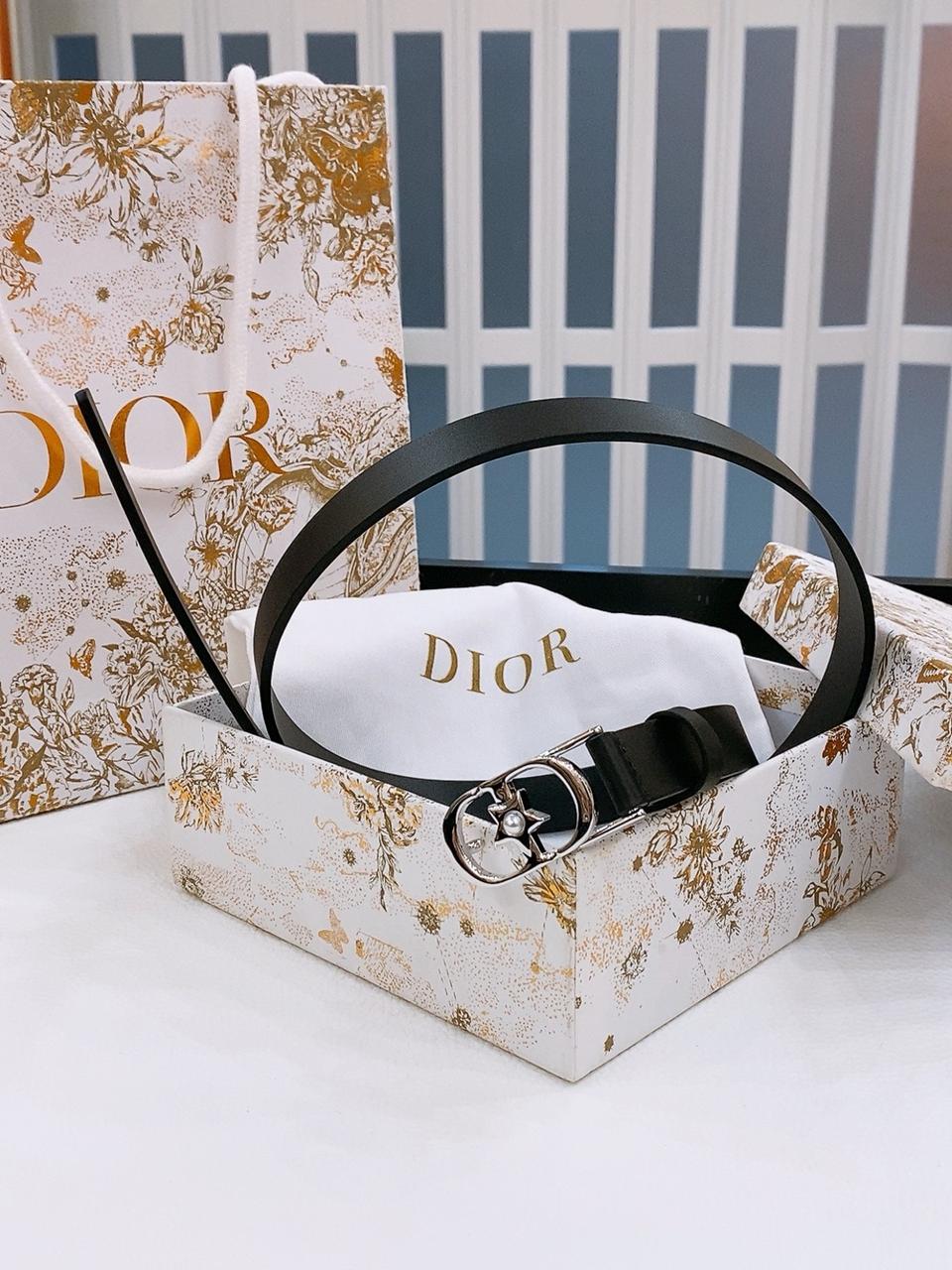 디올 벨트