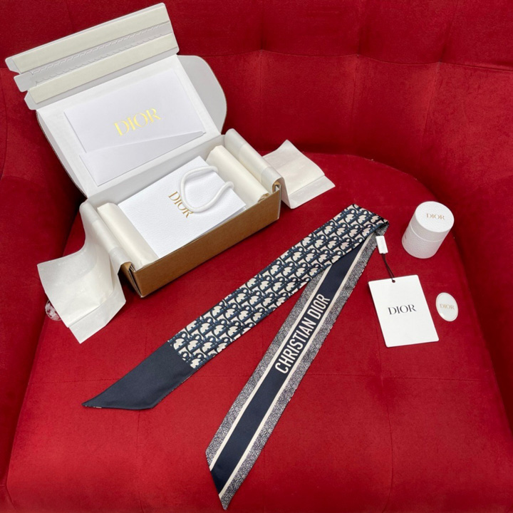 디올 오블리크 미차 방도